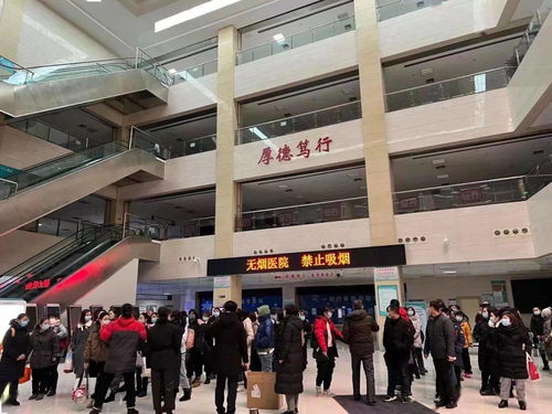 最美 冰墩墩 風雪凌晨逆行l(wèi)西青醫(yī)院集結100名醫(yī)護支援大篩工作